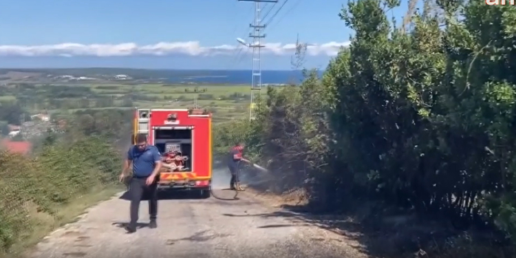 Sinop’ta orman yangını Sinop’ta orman yangını