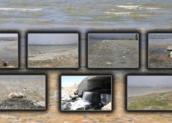 Van Gölü tehlikede