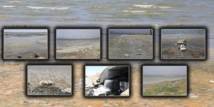 Van Gölü tehlikede Van Gölü tehlikede