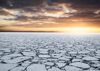 BM: Mevcut iklim planları sıcaklık artışını 2.5 dereceye çıkarma riski taşıyor