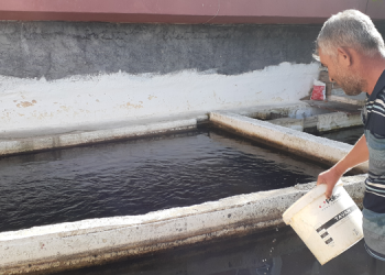 Kozanli balıkçı: Müşteri kendiliğinden yavaş yavaş çekildi