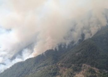 Amanos’taki orman yangını kontrol altına alındı