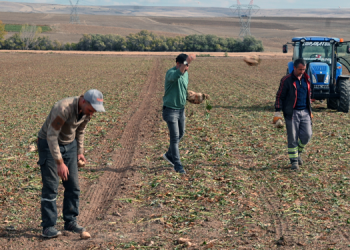 Yozgatlı çiftçi: Mazot ile çiftçinin işi bittiği zaman fiyat düşüyor