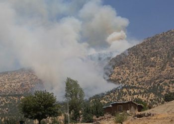 Ekolojist Bilgiç: Kimyasal silahların etkisi yüzyılı bulabilir