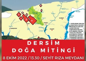 Sanatçılardan Dersim Çevre Mitingi’ne çağrı