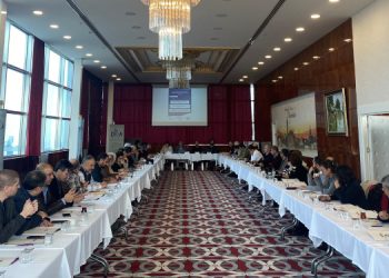 Amed’te “Çatışma çözümü ve barış inşası” çalıştayı