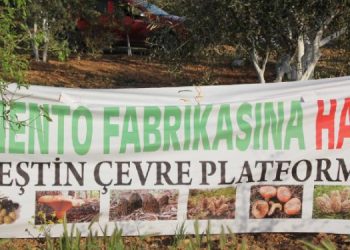 Çimento fabrikası için verilen “ÇED olumlu” kararı bozuldu