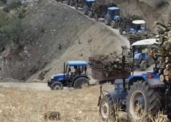 Şırnak’taki orman kıyımına karşı 5 ayrı yere başvuru