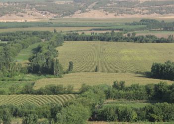Ekoloji Derneği: Hevsel kayyımın eliyle talan ediliyor