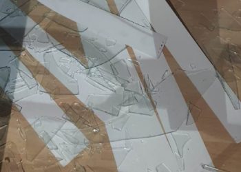 HDP Çukurova İlçe Örgütü’ne taşlı saldırı