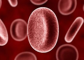 Laboratuvarda üretilen kan ilk kez insana nakledildi