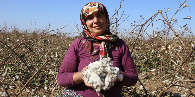 Pamuk elde kaldı Pamuk elde kaldı