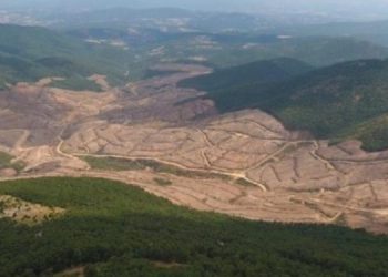 İklim Değişikliği Endeksi: Türkiye 47’nci sıraya geriledi