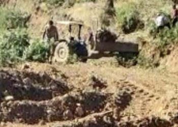 Süryani köyünde ağaç kıyımı sürüyor