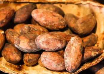 Türkiyeli bilim insanı keşfetti: Dünyanın en eski pişirilmiş yemek kalıntıları