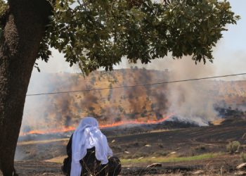 Ekolojist Aksu: Savaş Kurdistan coğrafyasını zehirliyor