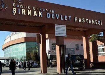 Gabar’da yaşamını yitiren HPG’lilerin cenazeleri teşhis edilemiyor