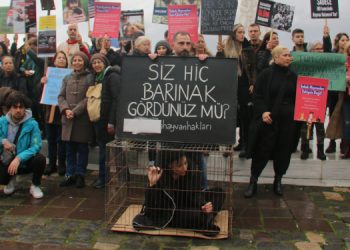 Hayvan hakları savunucuları: Ölüm getiren uygulamaya izin vermeyeceğiz