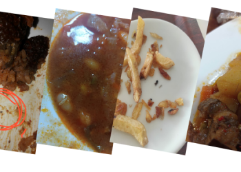 HDP KYK yurdundaki hijyensiz yemekleri Meclis’e taşıdı