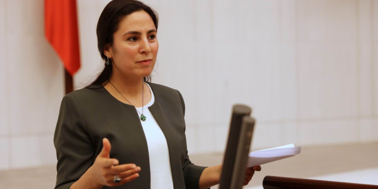 Sürücü: GAP’la hedeflenen alanların sadece yüzde 35’i sulanıyor Sürücü: GAP’la hedeflenen alanların sadece yüzde 35’i sulanıyor