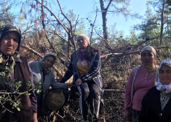YK Enerji Akbelen’i talan etmeye hazırlanıyor