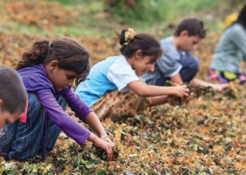 Sosyolog Taner Taş: Sistem, çocuğu hizmet nesnesi olarak görüyor