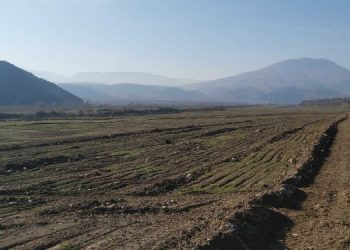 “Bu taşın içini mi bize layık görüyorlar?”