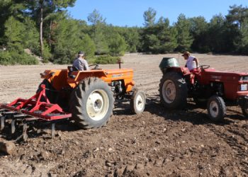 “Ekolojik tarıma yönelerek bu krizden çıkabiliriz”