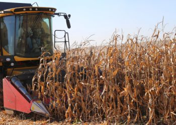 Mezopotamya’da kuraklık riski