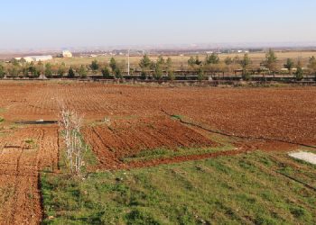 Prof. Dr. Öztürkmen: Maliyetler düşmeden tarım sözleşmesi anlamsız olur
