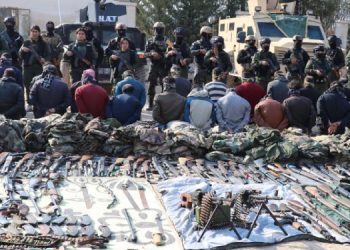 QSD Komutanı Çekjin: DAİŞ ve Türk devleti arasında açık bir koordinasyon var