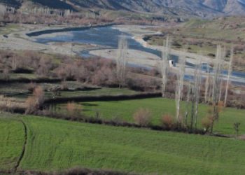 Sarım Çayını savunmak için “Hashtag” çalışması