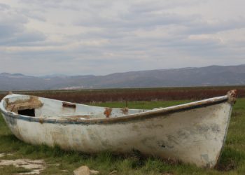 Türkiye’nin ilk iklim davasında karar çıktı: Balıkçılar haklı bulundu