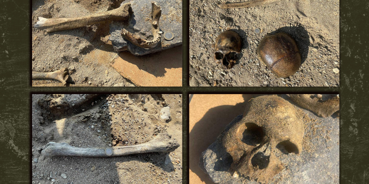 Zilan’daki kemiklere dair dosya savcı savcı geziyor! Zilan’daki kemiklere dair dosya savcı savcı geziyor!