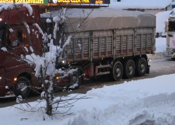 Hakkari’den 18 TIR yola çıktı