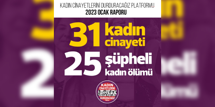 Kadın Cinayetlerini Durduracağız Platformu’nun ocak ayı raporu Kadın Cinayetlerini Durduracağız Platformu’nun ocak ayı raporu