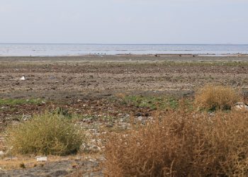 Küresel ısınma ve kirlilik Van Gölü’nü yok ediyor