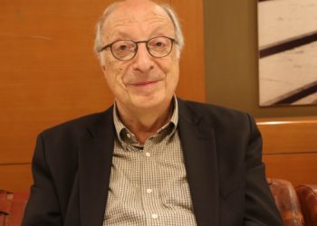 Rıza Türmen: HDP’siz bir Türkiye mümkün değil