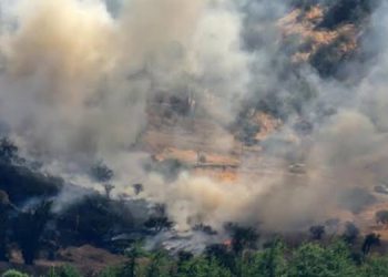 Şili’de 40 bin hektar alan küle döndü