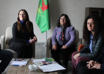 Sol Parti Eş Genel Başkanı Wissler’den DBP’ye ziyaret