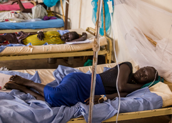 BM: Kolera salgını, Afrika’da 11 ülkede “endişe verici” boyutta