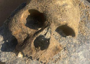 Zilan’daki kemikler ATK’ye gönderildi Zilan’daki kemikler ATK’ye gönderildi