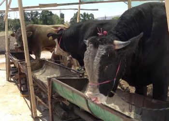 Zonguldak’ta 215 köy karantinaya alındı