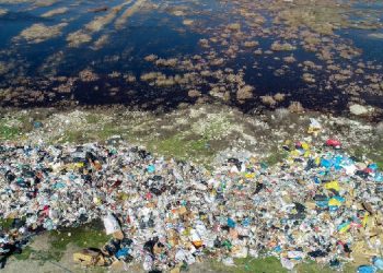 Ekolojik talan, depremde de durmadı