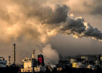 Kirli havadan 230 kişi ölmüştü: Nedeni doğa talanıdır, dur denilmeli Kirli havadan 230 kişi ölmüştü: Nedeni doğa talanıdır, dur denilmeli