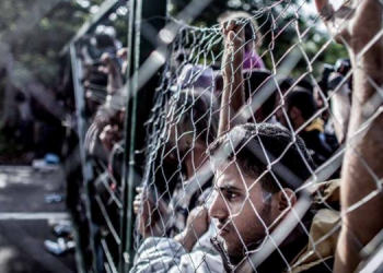 “Bütün oyuncularımız kaçak göçmen oldu”