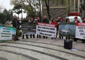 Balıkesir talanın çemberinde: Doğa kurtarılmayı bekliyor