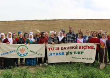 Dikilen fidanlar depremzedelere adandı
