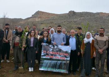 Doğa talanına karşı Şırnak’ta fidan diktiler