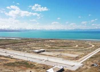 Kayyımın “Sahil Yolu” projesi: Sazlık alan yok ediliyor